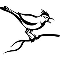 Logo de Cuckoo Sandbox